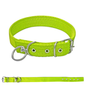 Savex Dokuma Köpek Boyun Tasması Yeşil 2.5*50 cm