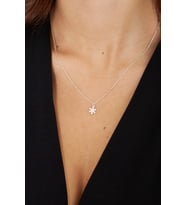 Kartanesi Motifli Zirkon Taşlı Kadın Gümüş Kolye Vkk-4462