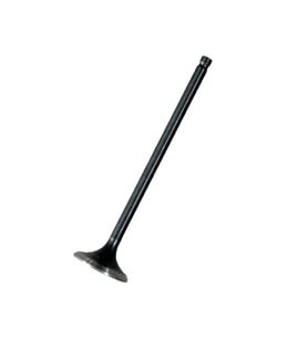 TVS Raider 125 Egzoz Subap N8011710