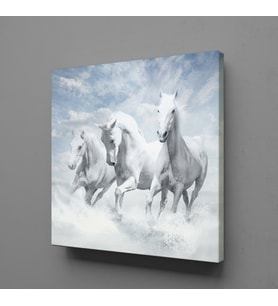 BEYAZ ATLAR ÜLKESİ KANVAS TABLO 160x160cm