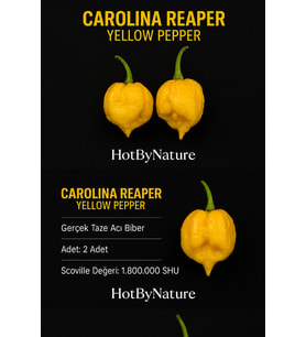 CAROLINA REAPER YELLOW PEPPER / 1.8 Milyon Scoville - Gerçek Taze Acı Biber