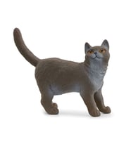 Schleich British Shorthair Kedi 13973