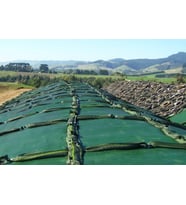 Silage Örtüsü Çiftrenk(Siyah-Yeşil) Uv'li