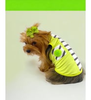 Lime Fuzz Atlet Köpek Kıyafeti  Köpek Elbisesi (Çok Renkli)