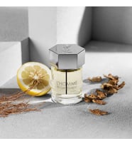 Yves Saint Laurent L’Homme – 100 ml – EDT (Erkek) Parfüm