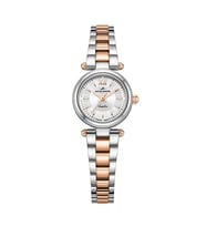 Roche Montre RML5006-03 Kadın Kol Saati