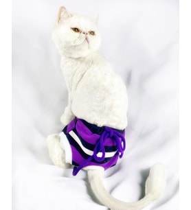 Modern Purp Kemique's Secret Kedi İç Çamaşırı  Regl Külot  Don (Çok Renkli)