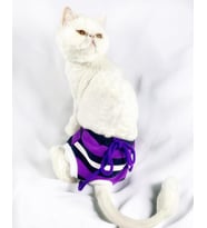 Modern Purp Kemique's Secret Kedi İç Çamaşırı  Regl Külot  Don (Çok Renkli)