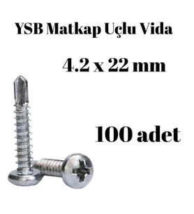Yıldız Silindir Başlı 4.2x22 YSB Matkap Uçlu Akıllı Vida 100 Adet