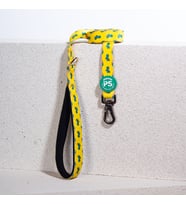 Pawstar Cactus Köpek Gezdirme Kayışı 120 cm x 2 cm