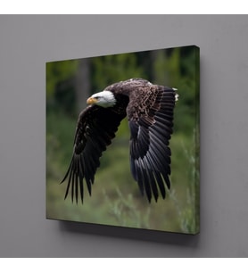 KARTAL KANVAS TABLO 25x25cm (Karışık)