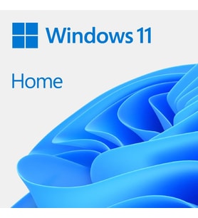 WİNDOWS 11 HOME - ESD KW9-00664