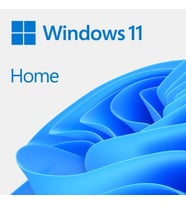 WİNDOWS 11 HOME - ESD KW9-00664