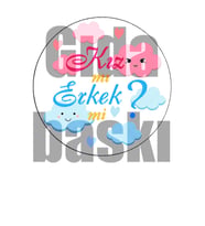 Yenilebilir Şeker Kağıt Cinsiyet Öğrenme Temalı Pasta Süsleme