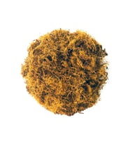 Meyan Kökü 100 gr