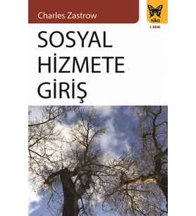 Sosyal Hizmete Giriş