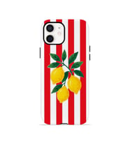 iPhone 11 Vorian Çift Katmanlı MagSafe Kılıf Lemon Parade Red
