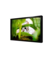 Kedi Çerçeveli Cam Tablo