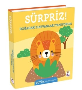 Sürpriz! - Doğadaki Hayvanları Tanıyorum