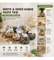 Dekoratif Vazo Taşı - Midye ve Deniz Kabuğu - Fileli Renkli Mix