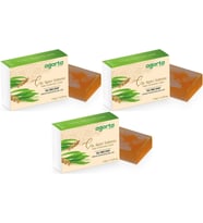Agarta El Yapımı Doğal Sabun 150GR Çay Ağacı (3 Lü Set)