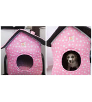 feyzteks köpek evi