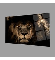 Aslan Cam Tablo