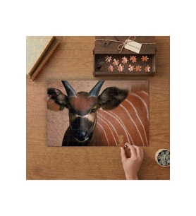 Antilop Hayvanlar Tasarımı 240 parça Ahşap Puzzle Ahşap Kutuda MP06143