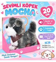 2859 Sevimli Köpek Mocha
