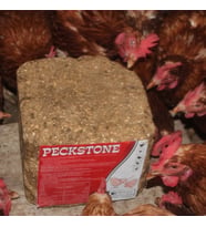 Royal İlaç Peckstone Avian Tavuk Gagalama Taşı 10 Kg