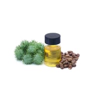 Hint Yağı 50 ml