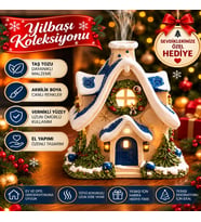 Yılbaşı ev