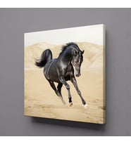 KOŞAN SİYAH AT KANVAS TABLO 50x50cm (Karışık)