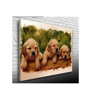 Yavru Köpekler Canvas Tablo (50x70)