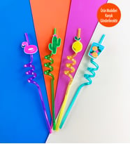 4'lü Figürlü Plastik Pipet Seti