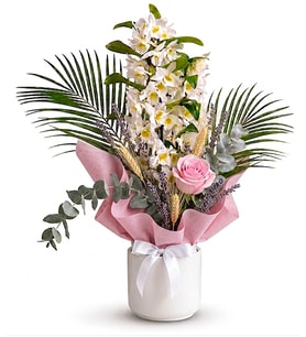 Beyaz Saksıda Pembe Buketli Dendrobium