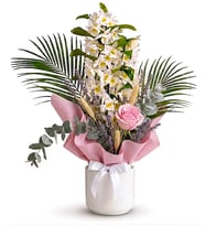 Beyaz Saksıda Pembe Buketli Dendrobium