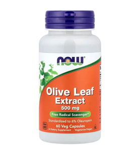 Olive Leaf Extract, 500 mg, 60 Vegetarian Capsules