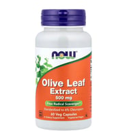 Olive Leaf Extract, 500 mg, 60 Vegetarian Capsules