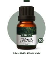Yağmur Ormanları Koku Yağı Buhurdanlık Yağı Difüzör Esansı Küre