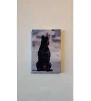 Siyah Erkek Doberman Natürel Tasarım Ahşap Çerçeve Ev İşyeri Ofis Duvar Kanvas Tablo ANML2 (Çok Renkli)