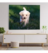 Beyaz Yavru Köpek Dekoratif Kanvas Tablo