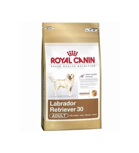 Royal Canin Labrador Retriever Yetişkin Köpek Maması 12 Kg