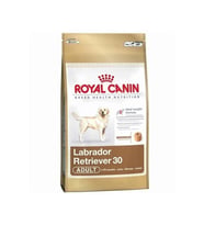 Royal Canin Labrador Retriever Yetişkin Köpek Maması 12 Kg