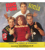 Big Fun and Sonia You've Got A Friend 45lik Plak (Karışık)