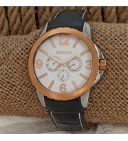 Sebago SBGS9714A-2 Erkek Kol Saati