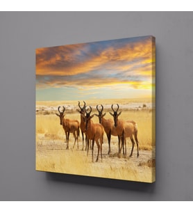 GEYİKLER KANVAS TABLO 70x70cm (Karışık)