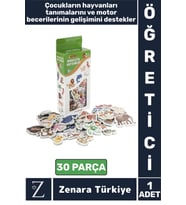 Çocuk Görsel Algı Koordinasyon Gelişimi Hayvanların Öğrenimi Eğitici Eğlenceli MANYETİK HAYVANLAR
