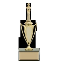 ODAK KUPA - Figürlü Kupalar - Satranç Figürlü Kupalar FG-039 C - 27 cm