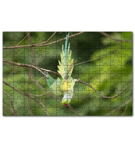 Cakapuzzle Daldan Aşağı Uçan Sarı Yeşil Papağan Puzzle Yapboz MDF (Ahşap) (120 Parça)